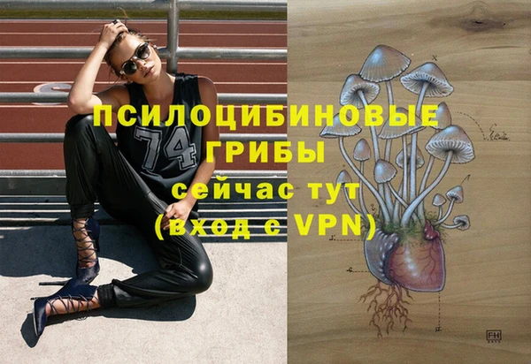 не бодяженный Магадан