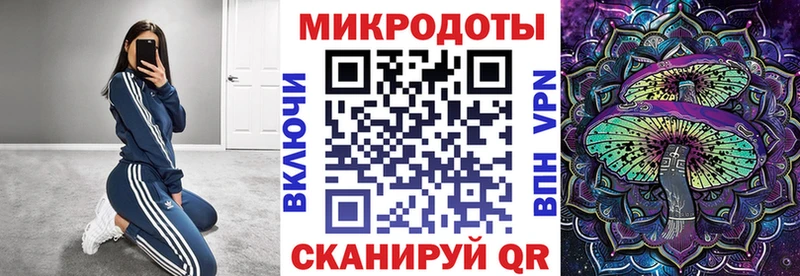 Псилоцибиновые грибы Psilocybine cubensis  Мытищи 